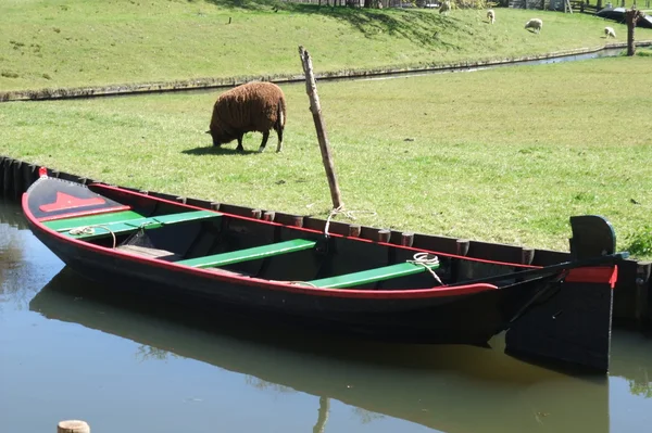 In the netherlands — Stock Photo, Image