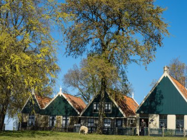 Hollanda 'daki Enkhuizen şehri.