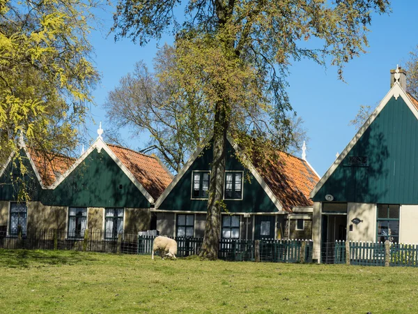 Staden Enkhuizen i underlandet — Stockfoto