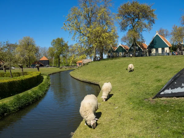 Η πόλη του Enkhuizen στις Κάτω Χώρες — Φωτογραφία Αρχείου