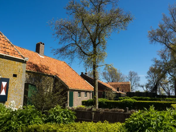 Hollanda 'daki Enkhuizen şehri. — Stok fotoğraf