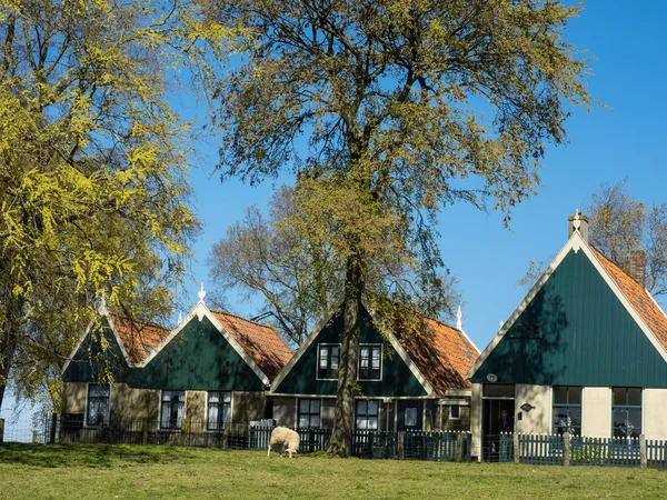 La ville d'Enkhuizen aux Pays-Bas — Photo