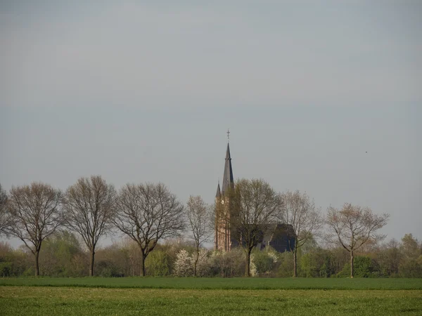 In the netherlands — Stock Photo, Image