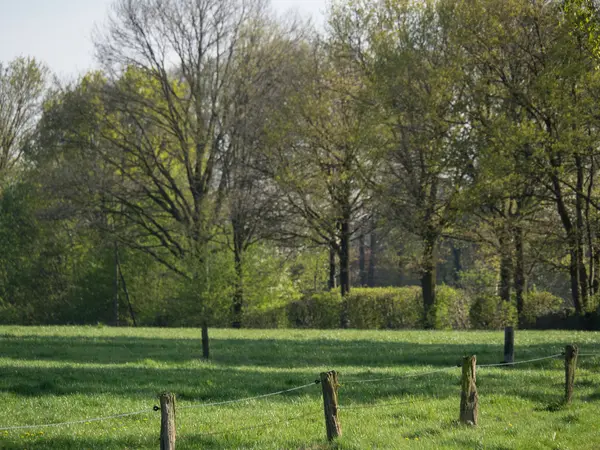 In den Niederlanden — Stockfoto