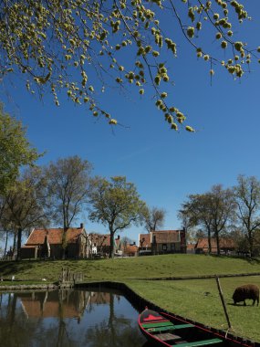 Hollandalı bir şehir