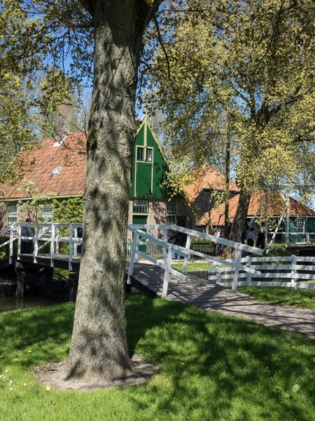 Enkhuizen у Голландії — стокове фото