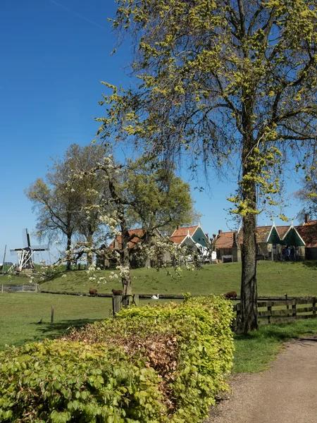 Enkhuizen в Голландии — стоковое фото