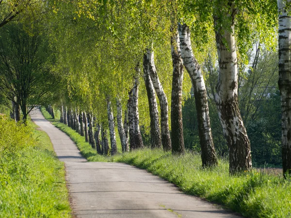 Lente in Duitsland — Stockfoto