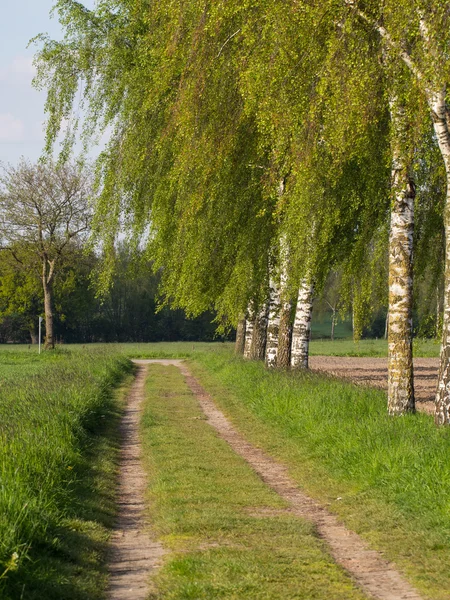 Primavera na Alemanha — Fotografia de Stock