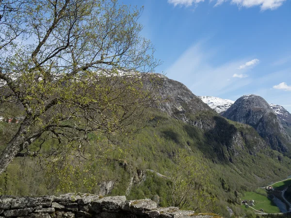 Chama em norway — Fotografia de Stock