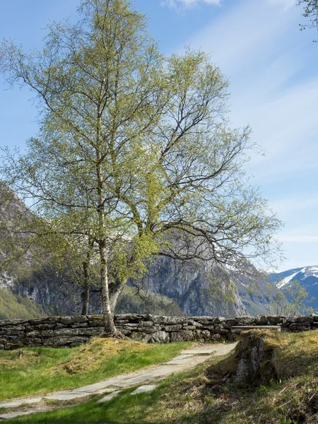 Beautifull places in norway — Stock Photo, Image