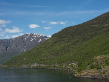 Norveç'te Flam