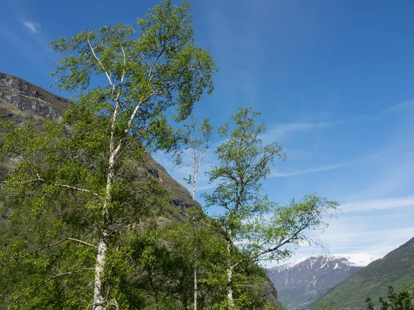 Dorf Flam — Stockfoto