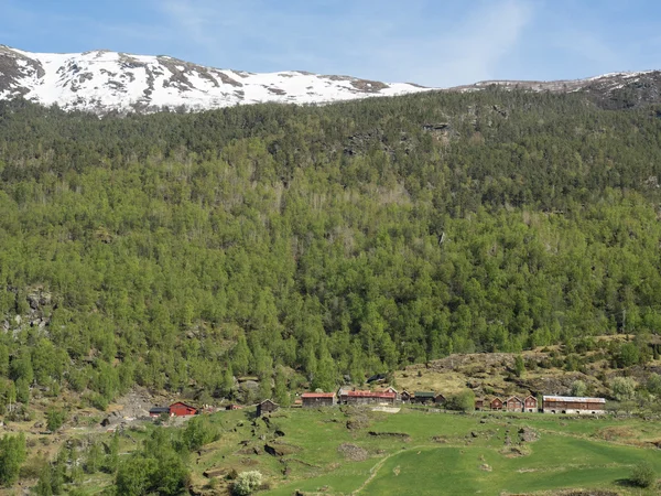 Aldeia de flam — Fotografia de Stock