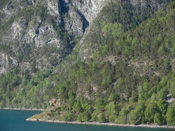 Flam in Noorwegen — Stockfoto