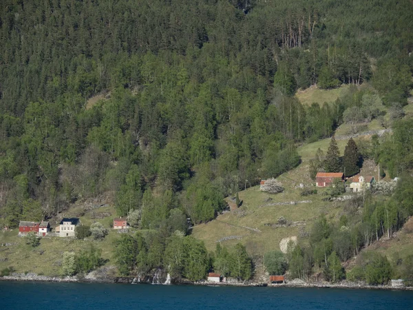 Flam w Norwegii — Zdjęcie stockowe