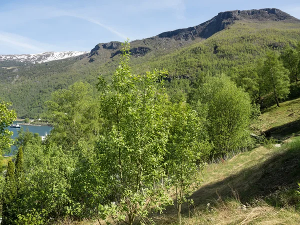 Flam in norwegen — Stockfoto