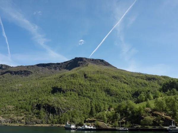 Chama em norway — Fotografia de Stock