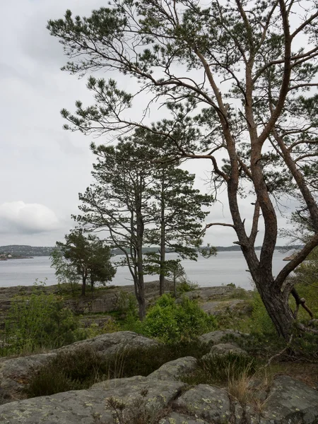 Kentler ve çevre Norveç'te — Stok fotoğraf