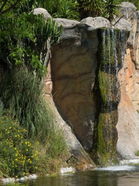 Hayvanat bahçesinde