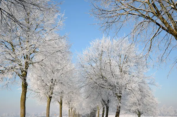 Winter in Deutschland — Stockfoto