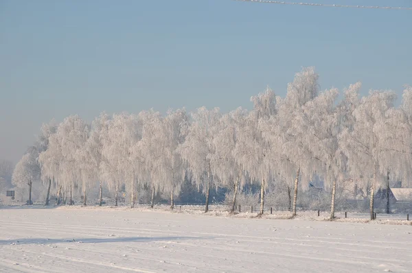 Winter in germany — Stock Photo, Image