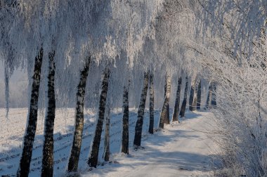Kış aylarında Almanya