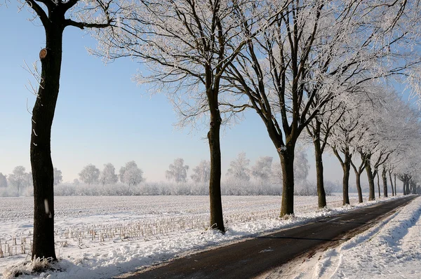 Winter in Deutschland — Stockfoto