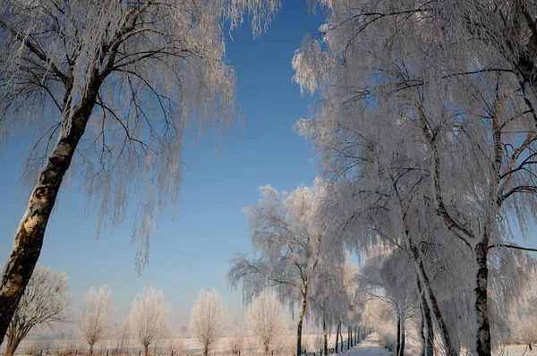 Winter in Deutschland — Stockfoto