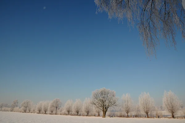 Inverno na Alemanha — Fotografia de Stock