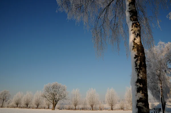 Hiver en Allemagne — Photo