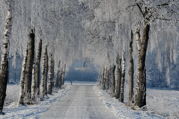 Winter in germany — Stock Photo, Image