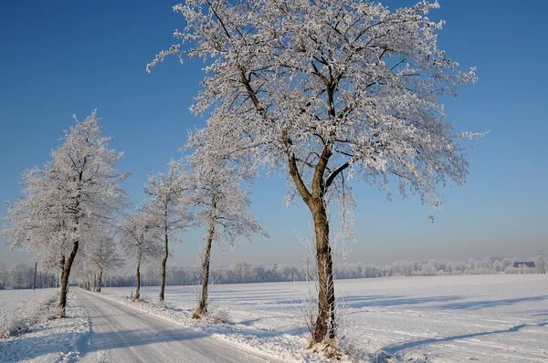 Winter in Deutschland — Stockfoto