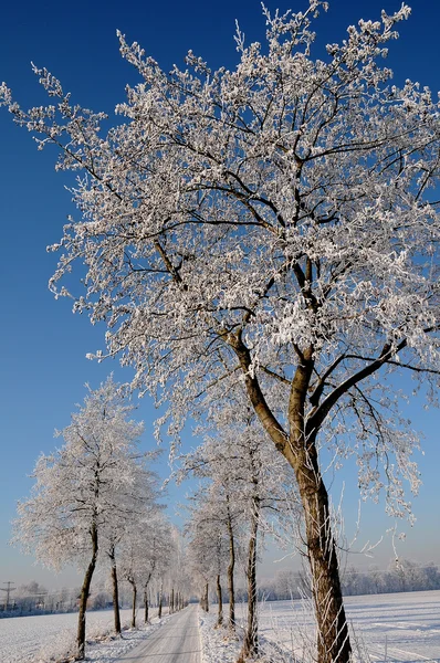 Winter in Deutschland — Stockfoto