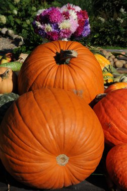 Şükran günü Almanya