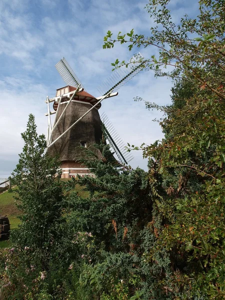 Windmills in germany — Stok fotoğraf