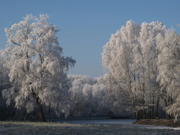 Vintern i Tyskland — Stockfoto