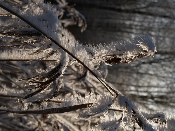 Winter in Deutschland — Stockfoto