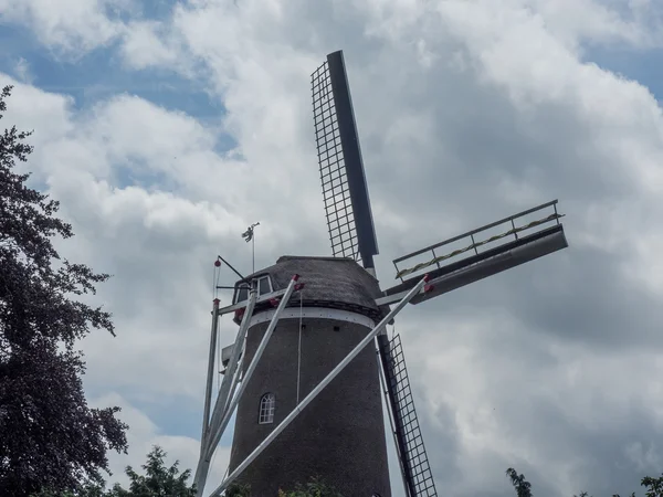 Καλοκαίρι στην Ολλανδία — Φωτογραφία Αρχείου