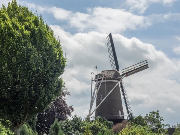 Hollanda'da yaz — Stok fotoğraf