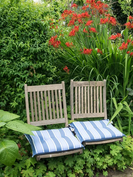 Zomer in Nederland — Stockfoto