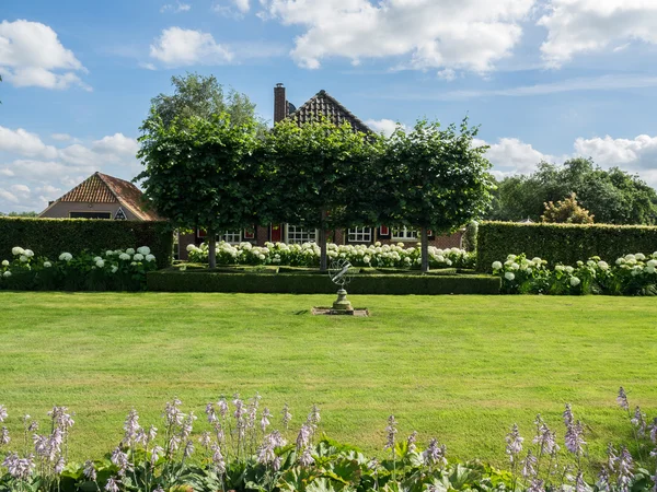 In den Niederlanden — Stockfoto