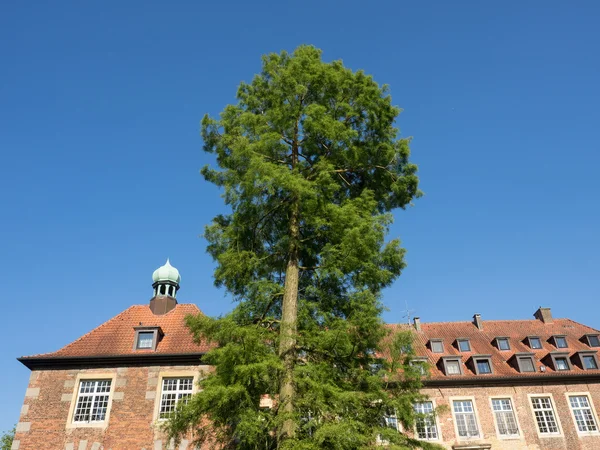 Castle of velen — Stock Photo, Image