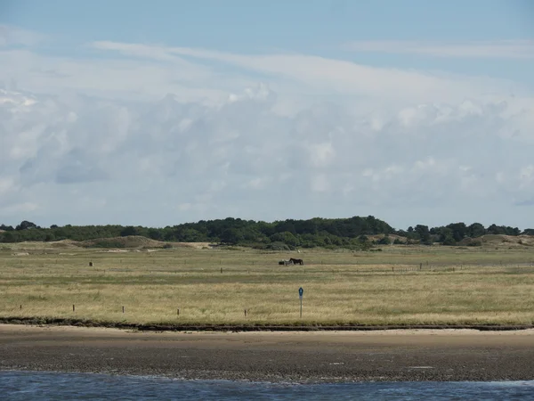 Het eiland van spiekeroog — Stockfoto