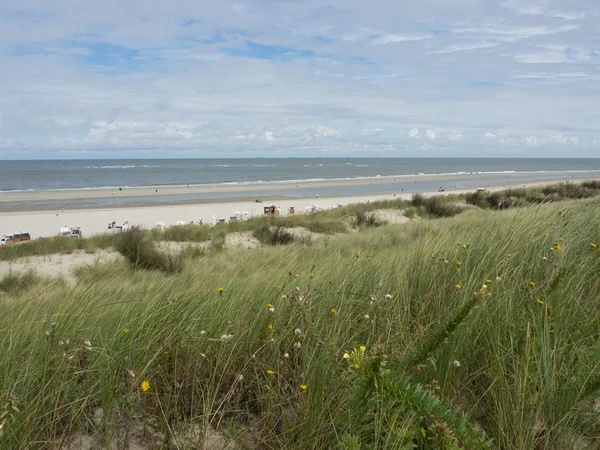 Die Insel Spiekeroog — Stockfoto