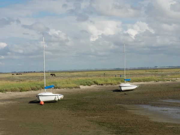 Ön i spiekeroog — Stockfoto