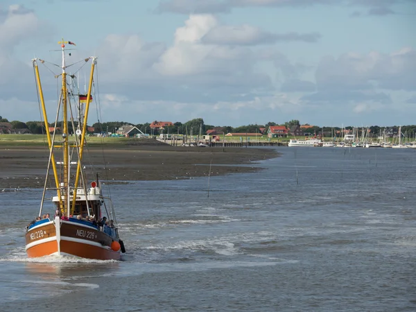 Eiland van spiekeroog — Stockfoto