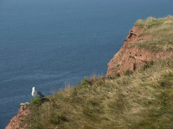 Island of helgoland — Stock Photo, Image