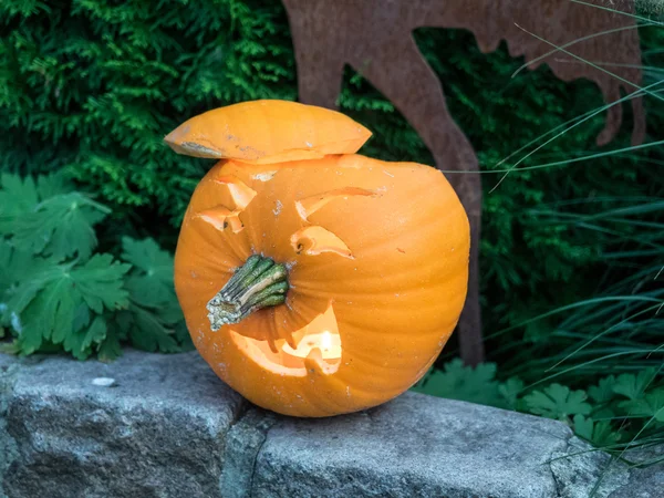 ドイツのカボチャ — ストック写真