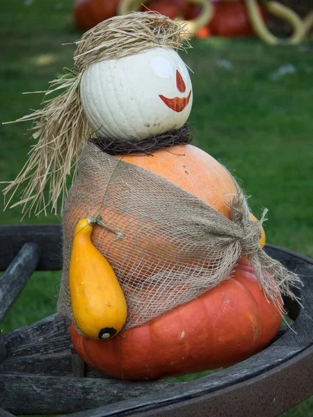 Pumpkins in germany Royalty Free Stock Photos